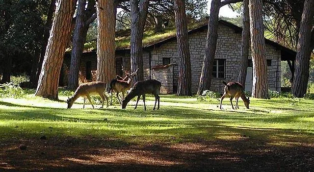 Villa Azzurra Heraki Sveti Lovrec Pazenaticki Croatia